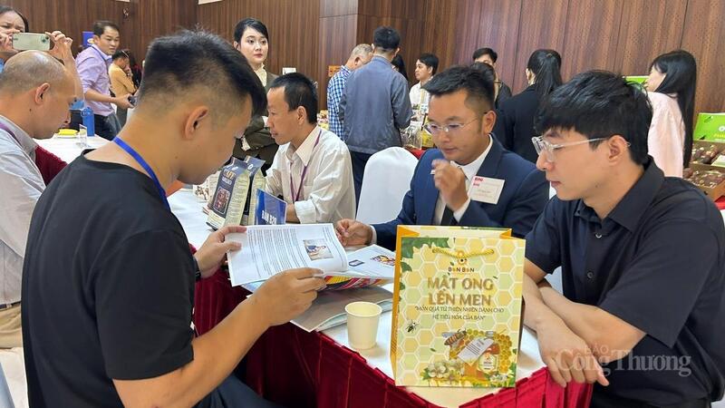 Doanh nghiệp nước ngoài tìm hiểu mua nông sản ở Tây Nguyên. Ảnh: Vũ Long