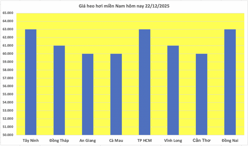 Giá heo hơi hôm nay 22/12/2025: Tiếp đà tăng, đạt đỉnh mới - 3