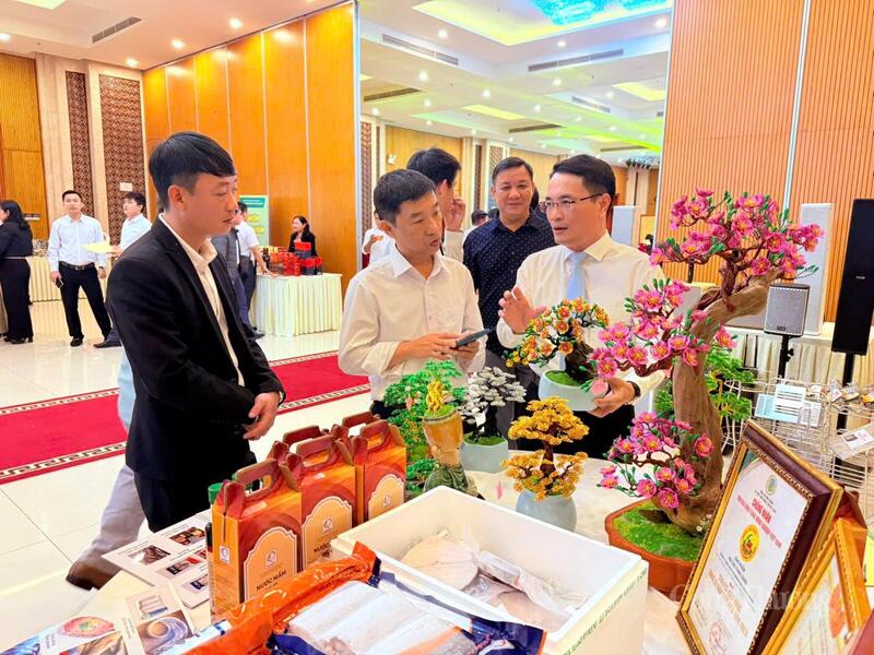 Hỗ trợ ứng dụng công nghệ thông tin, chuyển đổi số giúp sản phẩm công nghiệp nông thôn vươn xa.