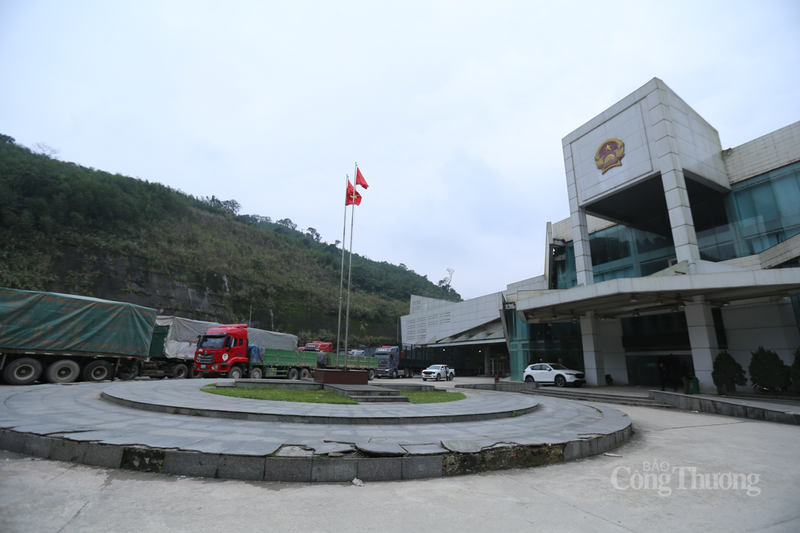 Bước sang năm 2026, chỉ trong 8 ngày đầu năm, con số này đã chạm mốc 3.913 lượt (trung bình 490 lượt/ngày). Đáng chú ý, kim ngạch xuất nhập khẩu trong chưa đầy 10 ngày đầu năm đã đạt 8,48 triệu USD, đóng góp vào ngân sách nhà nước 3,3 tỷ đồng tiền thuế.
