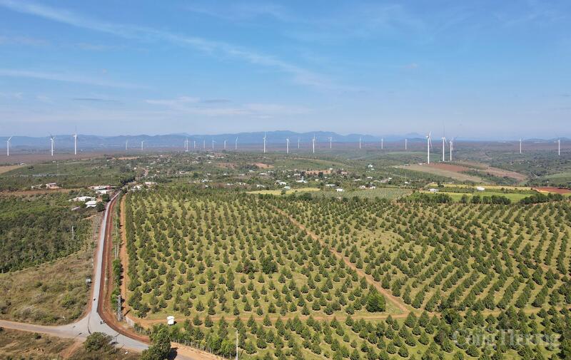 Toàn bộ 30/30 turbine gió của Nhà máy Điện gió Ia Pech và Ia Pech 2 đã chính thức được đưa vào vận hành thương mại, với tổng công suất 99 MW.