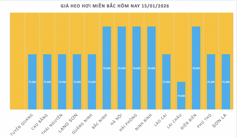 Giá heo hơi hôm nay 15/1/2026: Tăng đồng loạt tại miền Trung, miền Nam - 1