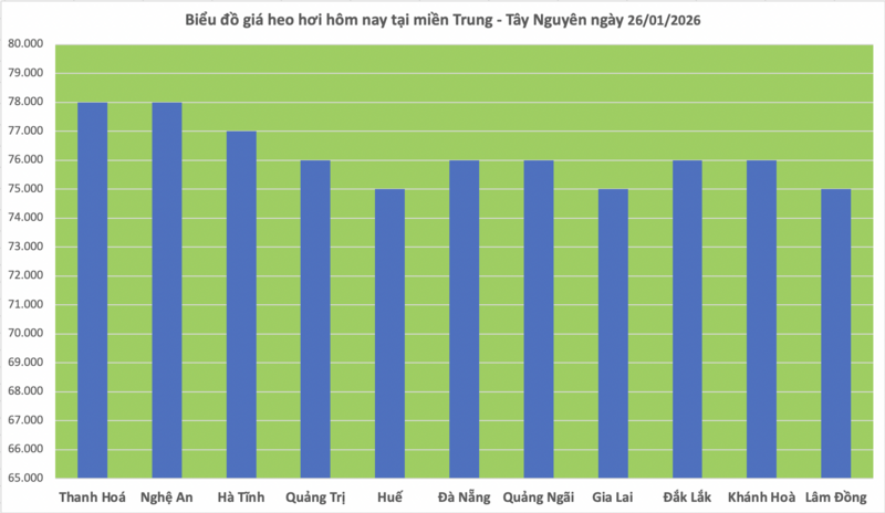 Giá heo hơi hôm nay 26/1/2026: Tăng rải rác - 2