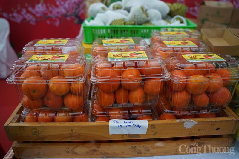 Đặc sản vùng miền ‘hút khách’ tại Hội chợ Mùa Xuân năm 2026 - 11