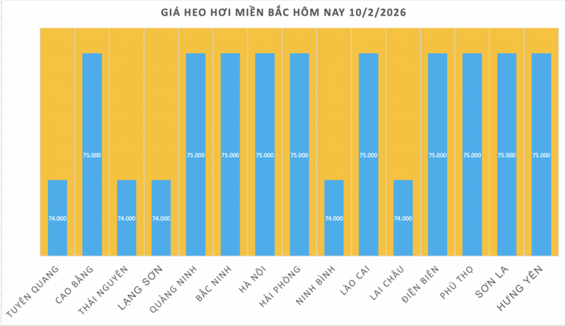 Giá heo hơi hôm nay 10/2/2026: Tiếp đà giảm diện rộng - 1