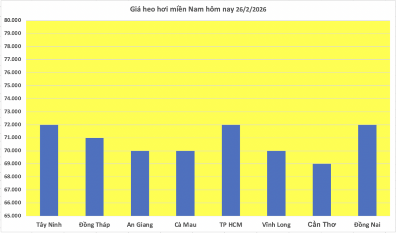 Giá heo hơi hôm nay 26/2/2026: Giảm đồng loạt tại miền Bắc, miền Trung - 3