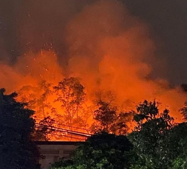 Nhanh chóng dập tắt đám cháy rừng ở Hải Phòng lúc rạng sáng