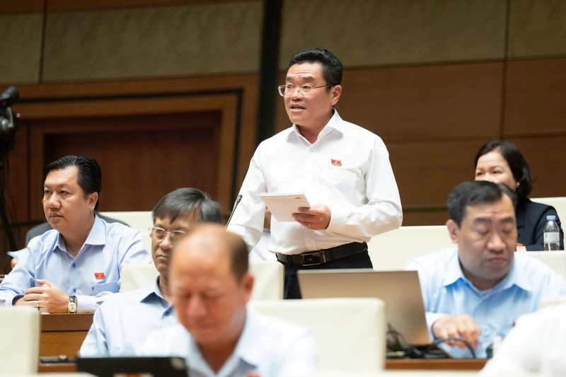 Đại biểu Nguyễn Thanh Phong - đoàn Vĩnh Long