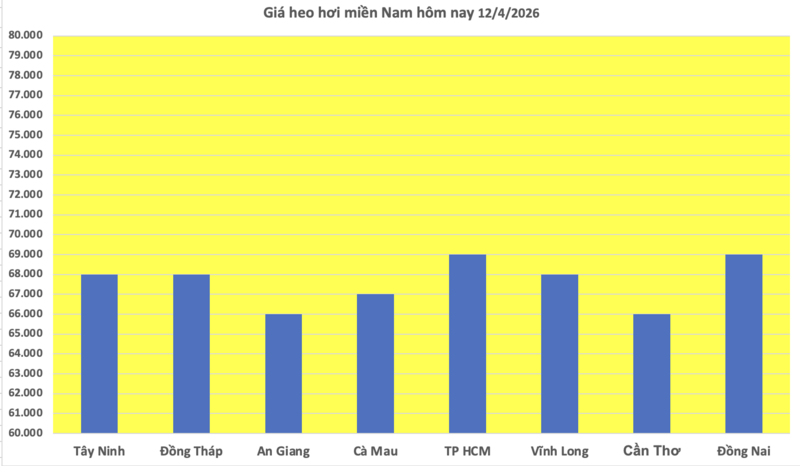 Giá heo hơi hôm nay 12/4/2026: Cao nhất 69.000 đồng/kg - 3