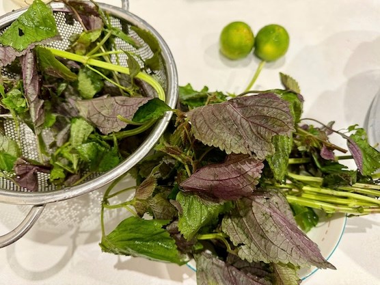 Đào thải axit uric cực hiệu quả bằng loại lá cây vườn nhà nào cũng có