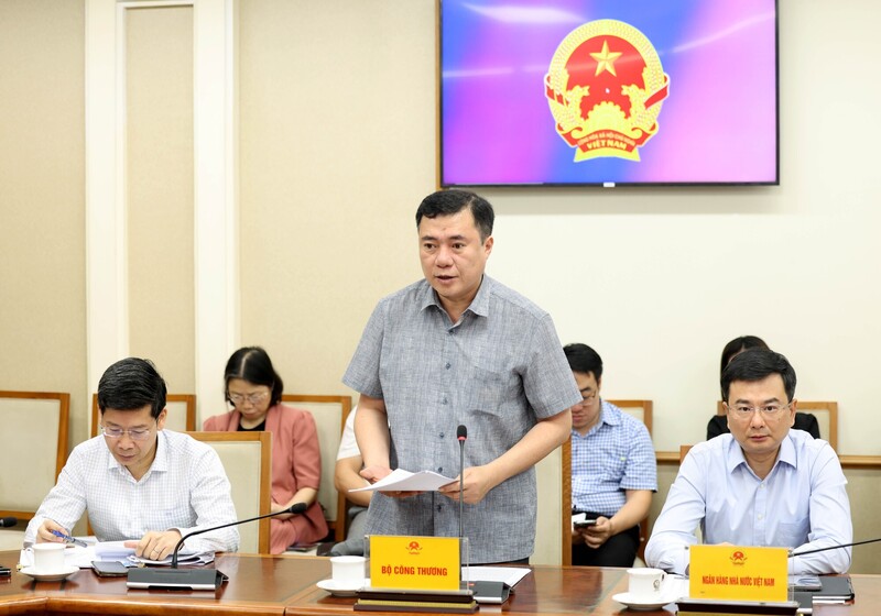 Thứ trưởng Bộ Công Thương Nguyễn Sinh Nhật Tân phát biểu - Ảnh: VGP/Đức Tuân