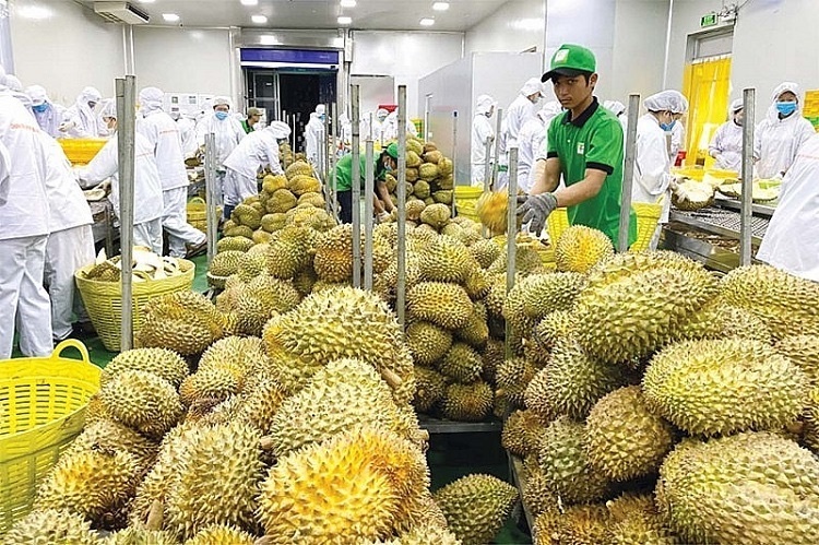 Đối với địa phương, cần đẩy mạnh số hóa vùng trồng, quản lý chặt cơ sở đóng gói và tăng cường kiểm tra trong mùa vụ cao điểm. Ảnh minh họa