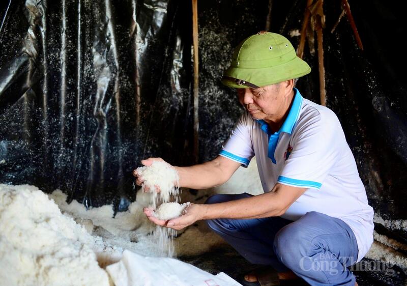 Trải qua khoảng 300 năm hình thành và phát triển, nghề làm muối ở xã Hoa Lộc vẫn được nhiều diêm dân gìn giữ như một phần ký ức và sinh kế của vùng ven biển. Hiện nay, HTX Muối Tam Hòa, xã Hoa Lộc có 2 cánh đồng muối với tổng diện tích khoảng 26 ha, duy trì khoảng 80 hộ dân còn bám nghề. Ảnh: Quốc Anh