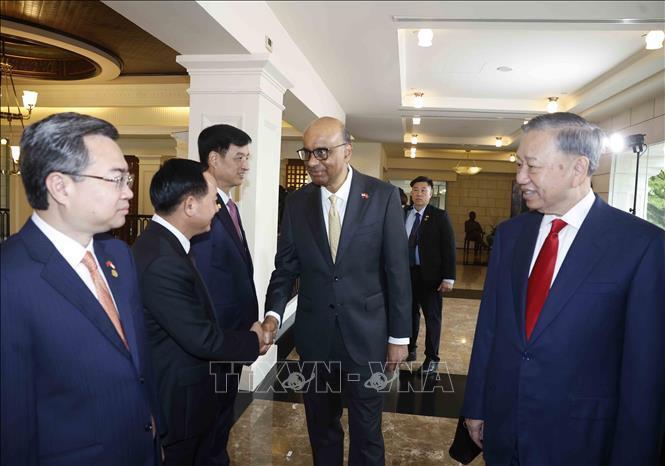 Tổng Bí thư, Chủ tịch nước Tô Lâm giới thiệu với Tổng thống Singapore Tharman Shanmugaratnam thành viên đoàn đại biểu cấp cao Việt Nam dự Lễ đón. Ảnh: Thống Nhất/TTXVN