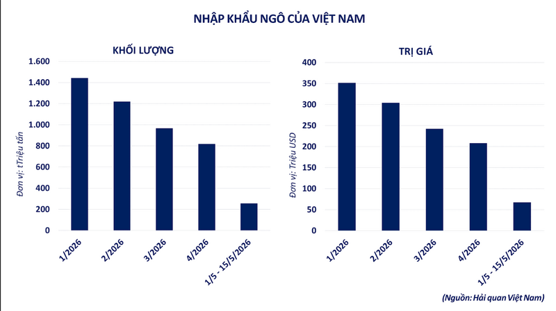 Nhập khẩu ngô của Việt Nam. Nguồn: MXV