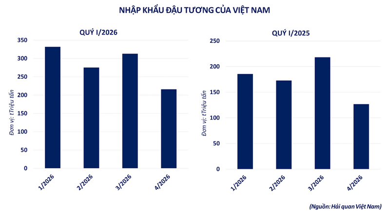Nhập khẩu đậu tương của Việt Nam. Nguồn: MXV