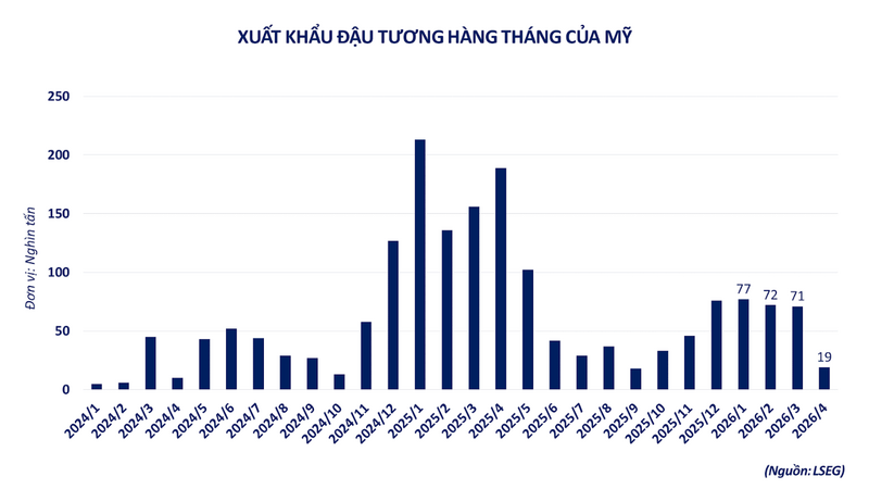 Xuất khẩu đậu tương hàng tháng của Mỹ. Nguồn: MXV