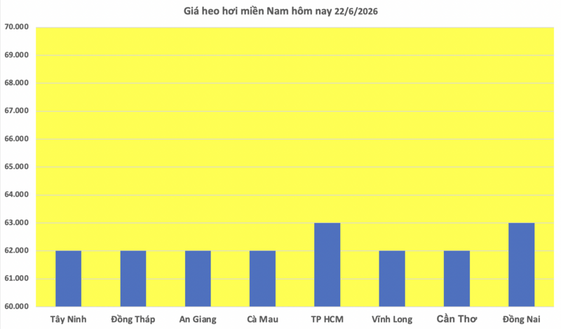 Giá heo hơi hôm nay 22/6/2026: Lặng sóng chờ tín hiệu mới - 3
