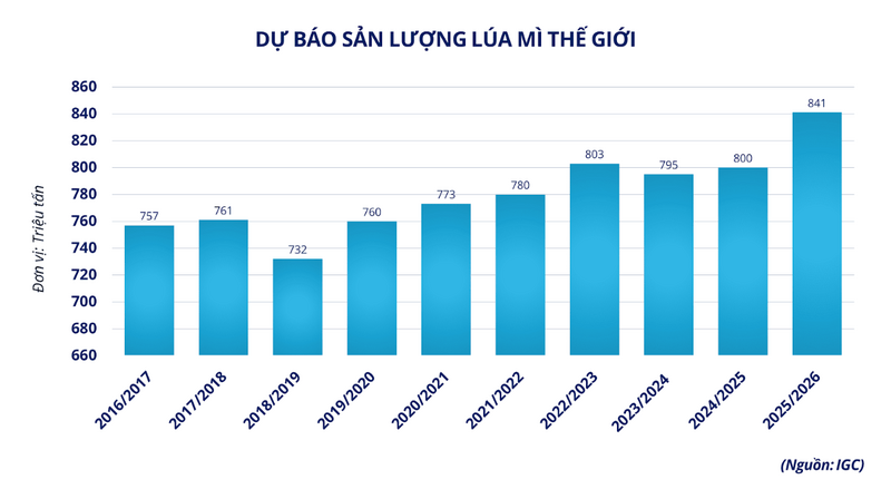 Dự báo sản lượng lúa mì thế giới. Nguồn: MXV