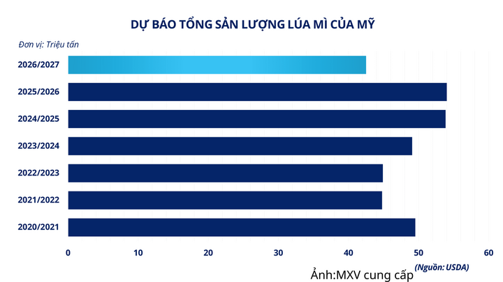 Dự báo tổng sản lượng lúa mì của Mỹ.