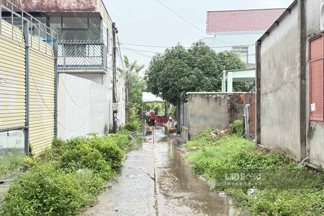Bắt nghi phạm trong vụ án mạng khiến 3 người thương vong ở TPHCM