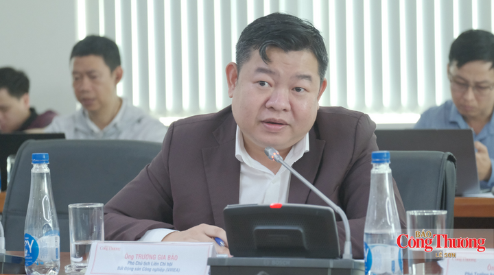 Ông Trương Gia Bảo, Phó Chủ tịch Liên chi hội Bất động sản Công nghiệp Việt Nam chia sẻ tại tọa đàm.